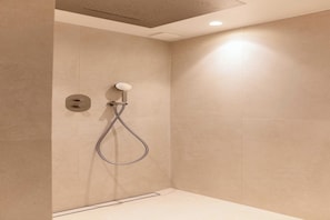 Eine moderne Dusche mit Handbrause, fest installierter Bedienung und einer eingelassenen Deckenleuchte.