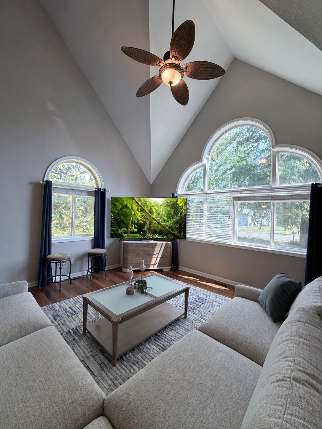 TV, fireplace