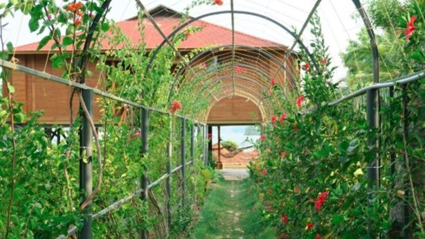 A greenhouse structure with a pathway leading to a building.