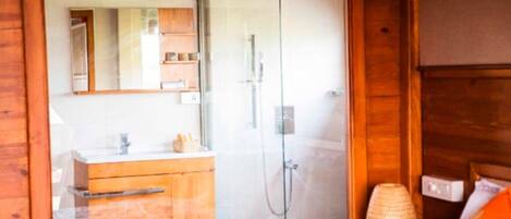 Shower, towels, soap, toilet paper
