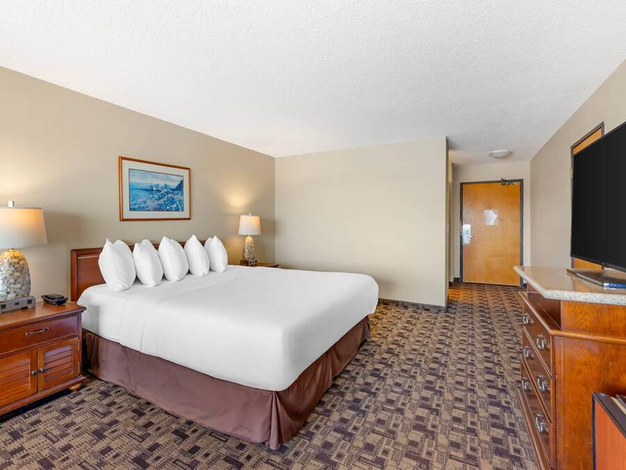 Suite, 1 King Bed, Non Smoking | WiFi (free)