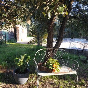 Property grounds - Gîte in mas provençal garden view (Puget-sur-Argens)