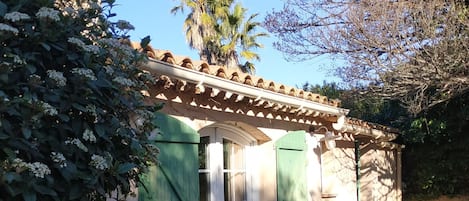 Detalle exterior
