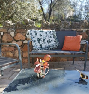 Terrace/patio - Gîte in mas provençal garden view (Puget-sur-Argens)