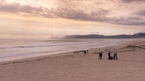 Beach - Luxury Nature lodge outside lovely Stanford for your getaway (Stanford)