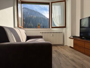 Living area - Foppolo: Relaxation, Views and the Alps! (Foppolo)