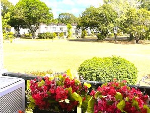 A residential area with houses, a lawn, and a hedge in the foreground. - Winter in sunny Barbados @ Rockley Golf & Country Club. (Bridgetown)
