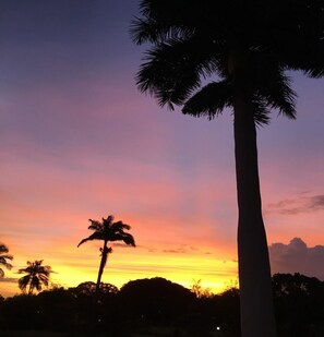 A sunset with palm trees silhouetted against a colorful sky. - Winter in sunny Barbados @ Rockley Golf & Country Club. (Bridgetown)