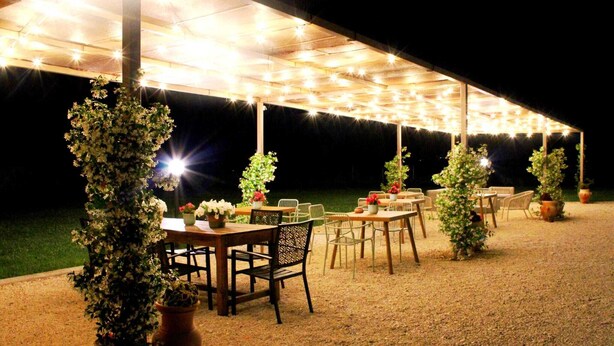 An outdoor dining area with tables and chairs under a covered structure, surrounded by potted plants. - Agriturismo Cavalieri (Civita Castellana)