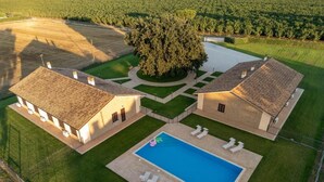 A residential property with a swimming pool, two houses, and a large tree. - Agriturismo Cavalieri (Civita Castellana)