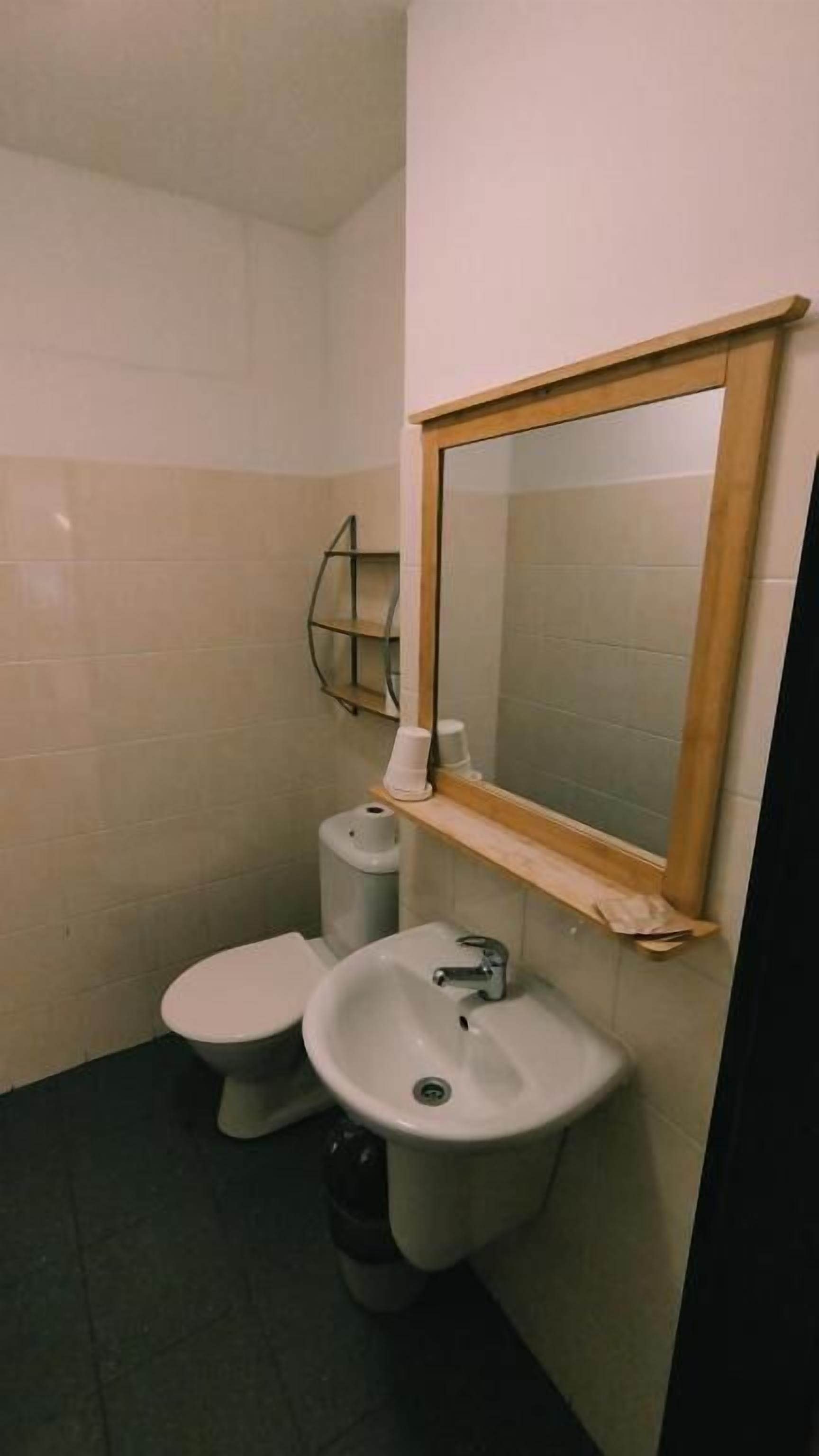 A bathroom with a toilet, sink, and mirror.