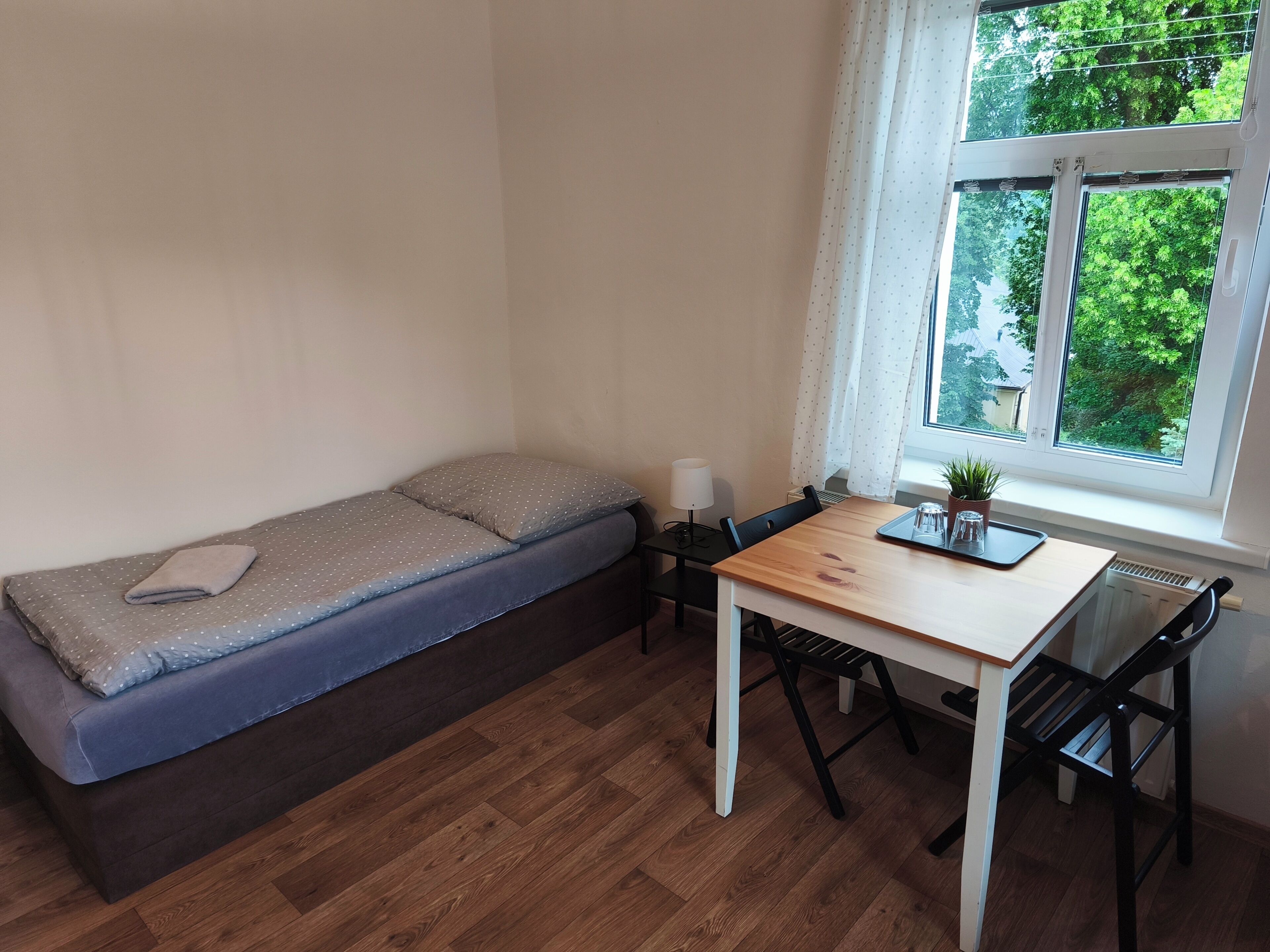 Una habitación pequeña con cama, una mesa, sillas, un ventanal con vista a árboles y un radiador.