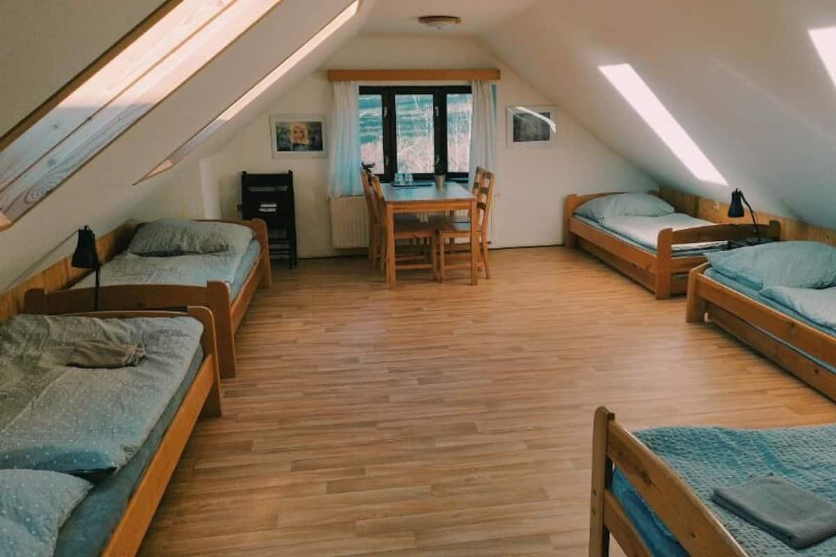 A dormitory-style room with wooden floors, bunk beds, a dining table, and a window.