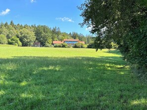Property grounds - Naturdomizil Geißleiten in a secluded location in the Bavarian Forest (Rötz)