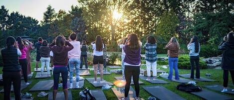A group of people on yoga mats outdoors with trees and a sun setting in the background.