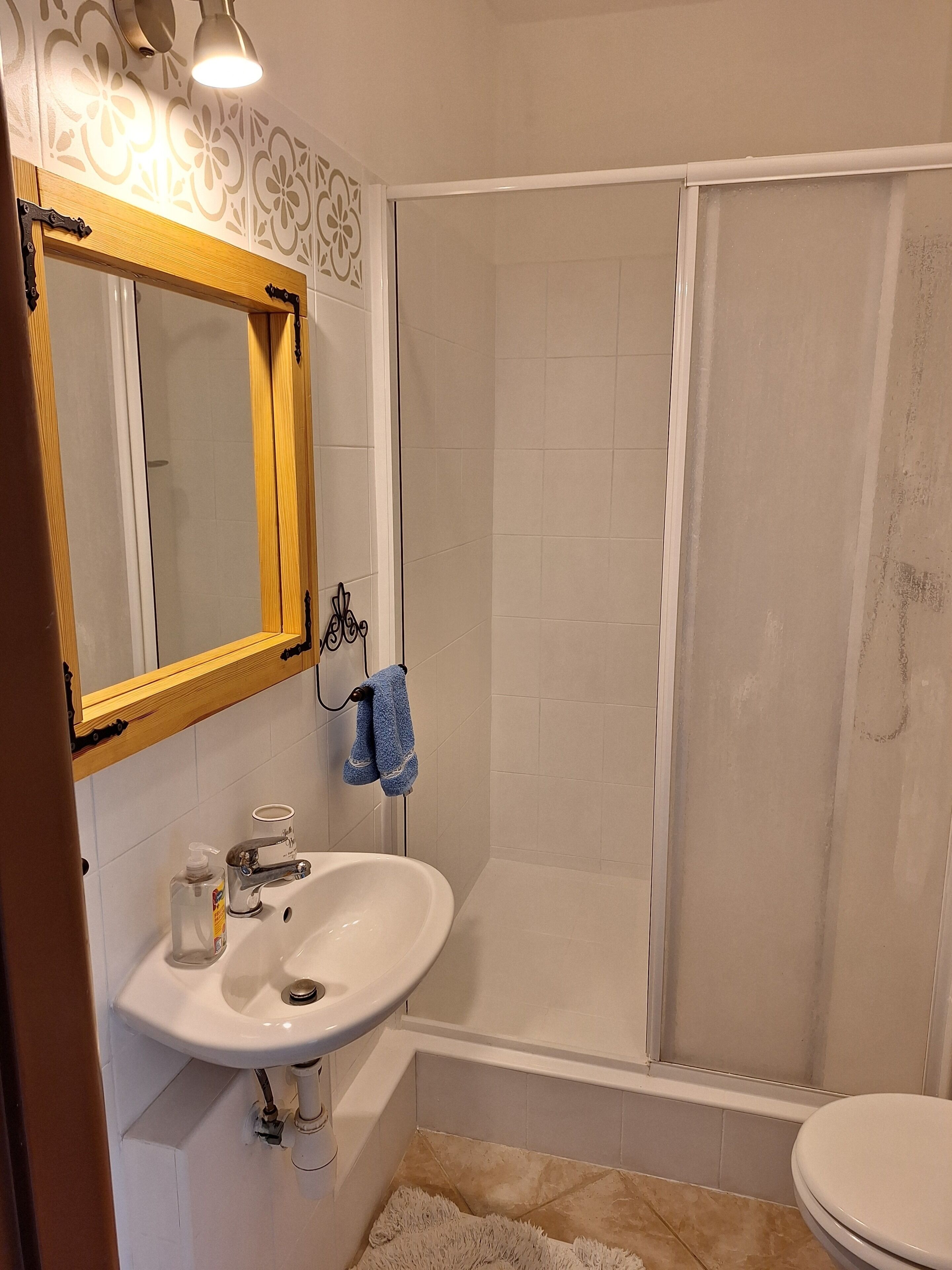 Sèche-cheveux, serviettes fournies, savon, papier toilette
