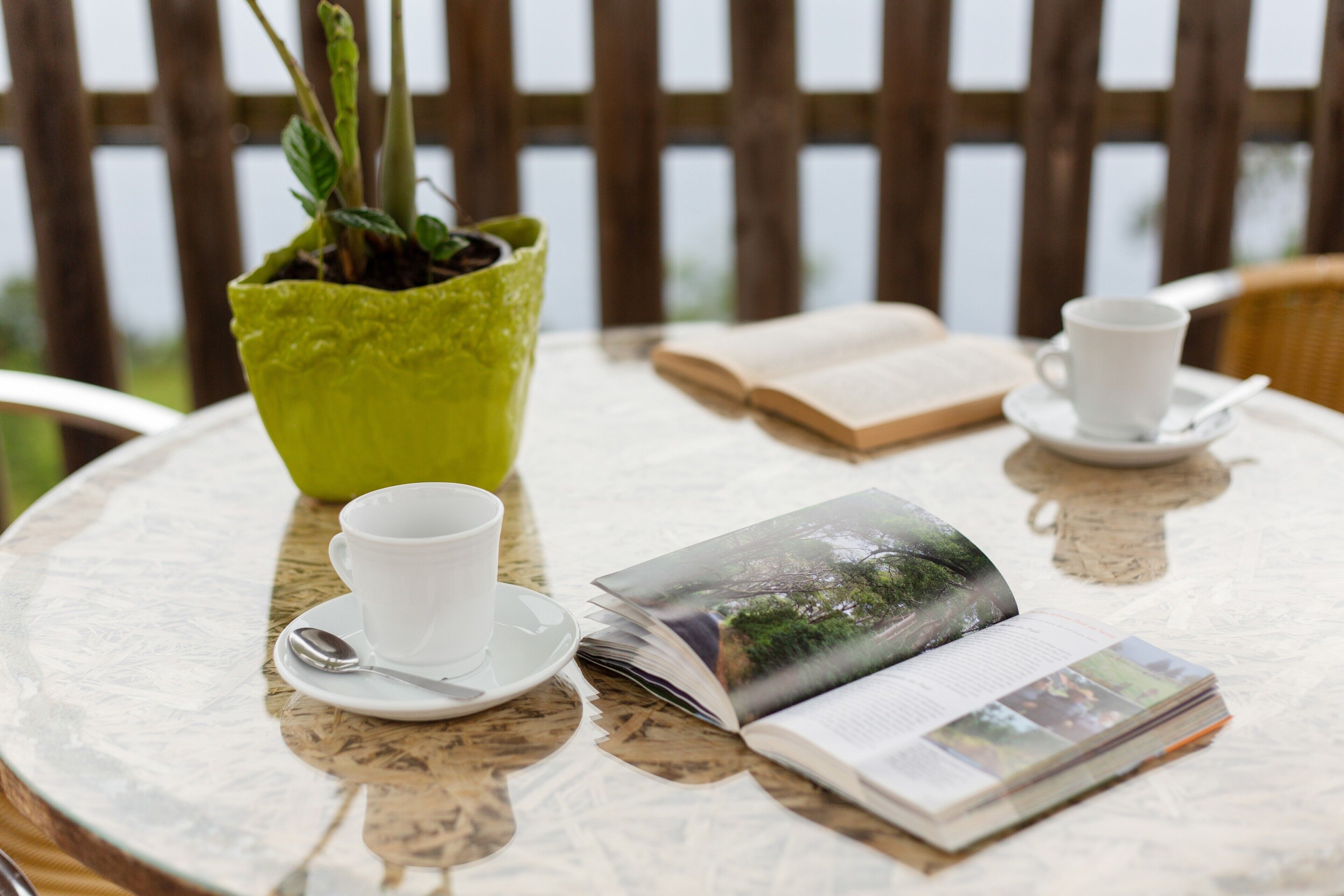 A round table with a potted plant, two cups with saucers, and an open book.