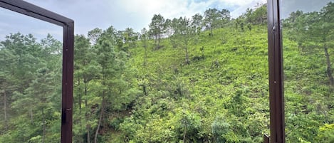 Double Room, Mountain View, Mountainside | Mountain view