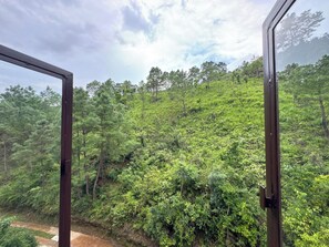 Vista a través de una ventana, con una ladera boscosa al fondo.