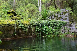 Un entorno natural con un muro de piedra, abundante vegetación y una masa de agua tranquila.