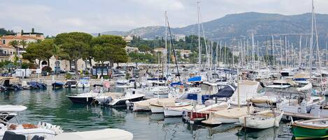 Marina