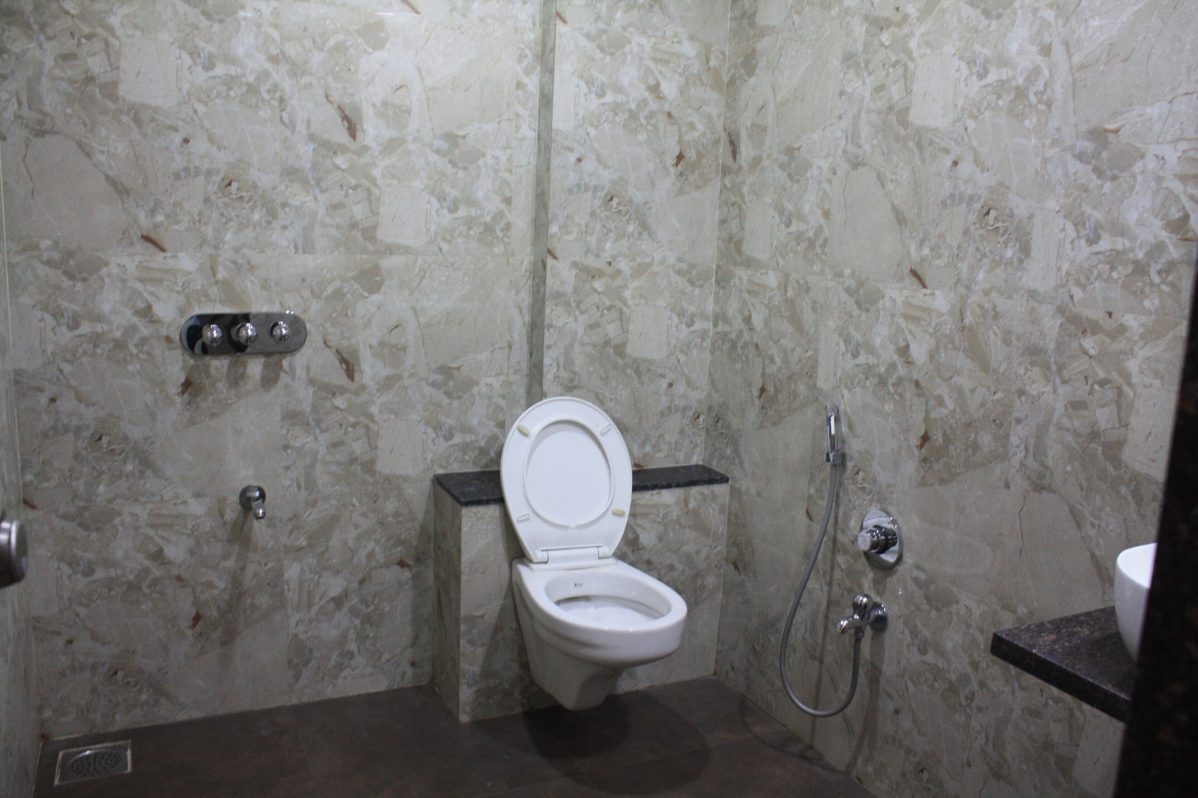Shower, rainfall showerhead, designer toiletries, bidet