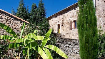 Un bâtiment en pierre avec un toit de tuiles, un mur en pierre et une grande plante verte au premier plan.