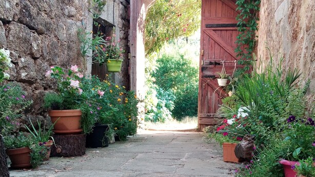 A stone pathway leading to an arched doorway surrounded by potted plants and greenery. - Holiday Home 'La Fée Du Val - Cottage in Ardèche' with Private Pool, Wi-Fi and Air Conditioning (Rosières)
