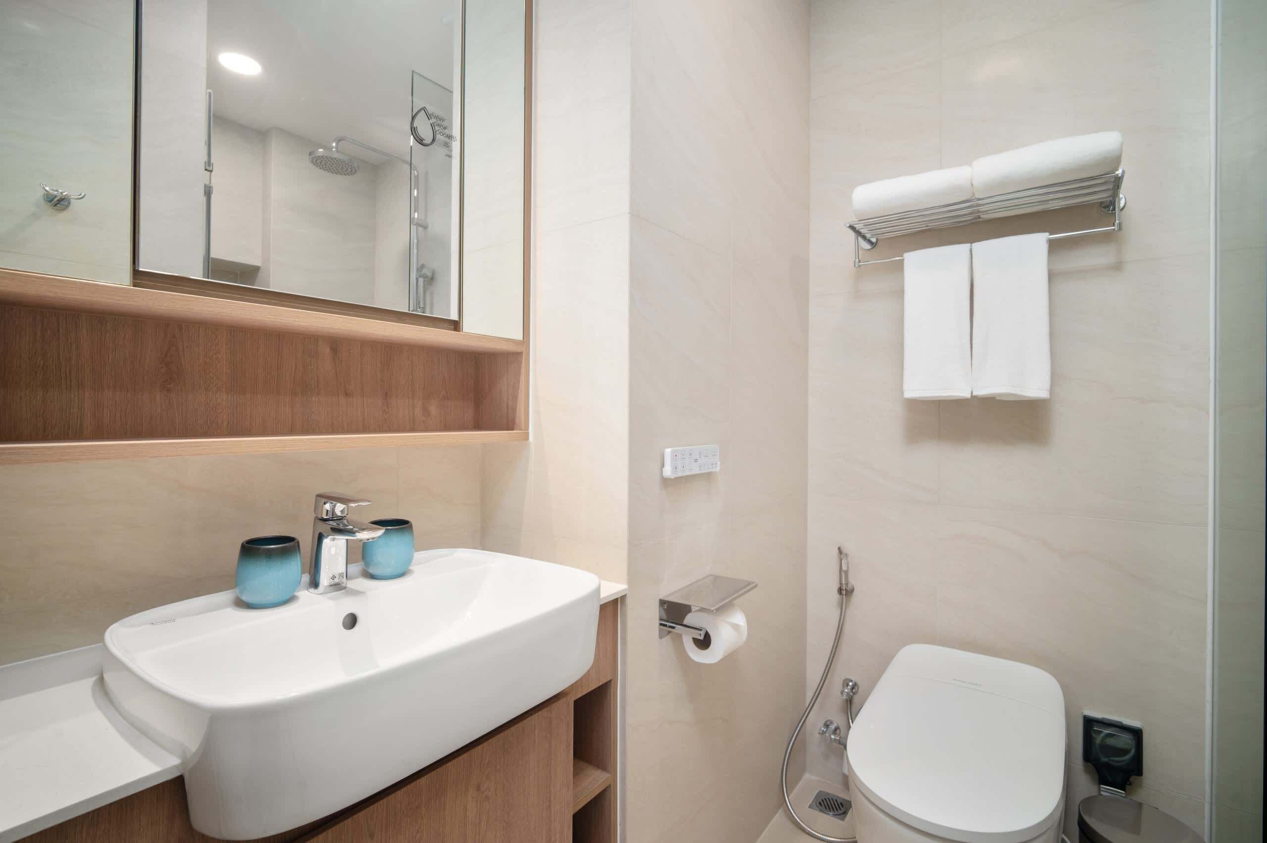 A modern bathroom with a sink, mirror, shower, and toilet.