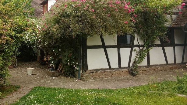 A traditional half-timbered house with a garden. - Maison des Vergers, nature meets craftsmanship (Hoffen)