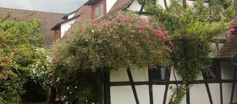 Maison des Vergers, nature meets craftsmanship