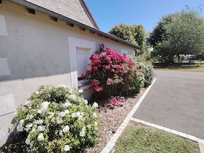 Il s’agit d’un bâtiment à l’extérieur blanc, doté d’une porte de garage et d’une allée. De part et d’autre de l’allée, on trouve des arbustes en fleurs aux couleurs roses et blanches.