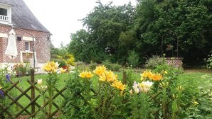 Un jardin avec des fleurs jaunes, un bâtiment en briques et une clôture en bois.