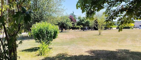 A grassy outdoor area with trees and a building in the background.