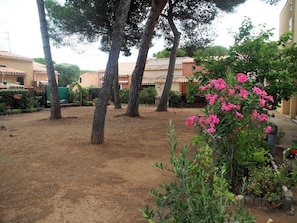 A courtyard with trees and a pink flowering plant. - Quiet terraced house - 4 guests (Cap d'Agde)