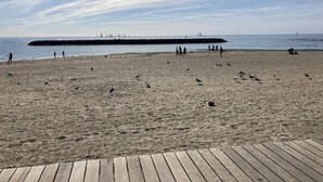 Ein Strand mit einem hölzernen Promenadenweg, sandigem Ufer und Segelbooten in der Ferne.