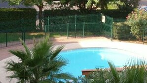 Ein Swimmingpool, umgeben von einem grünen Zaun, Palmen und einer Hecke.