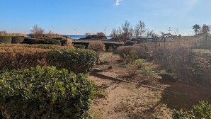A landscaped area with pathways, bushes, and a distant view of the sea. - 2-room apartment, parking - 4 guests, sea view (Cap d'Agde)