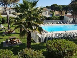 Ein Swimmingpool mit weißem Zaun, umgeben von Palmen und einer Rasenfläche mit Picknicktischen.
