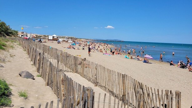 A sandy beach with a wooden fence, people sunbathing, and a clear blue sky. - Quiet apartment with parking - 6 guests (Cap d'Agde)