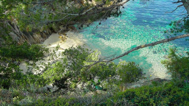 Un paysage côtier caractérisé par une eau turquoise limpide, une plage de sable et une végétation luxuriante.