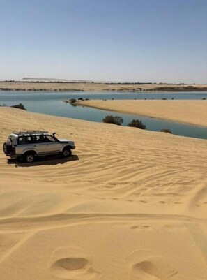 شاطئ