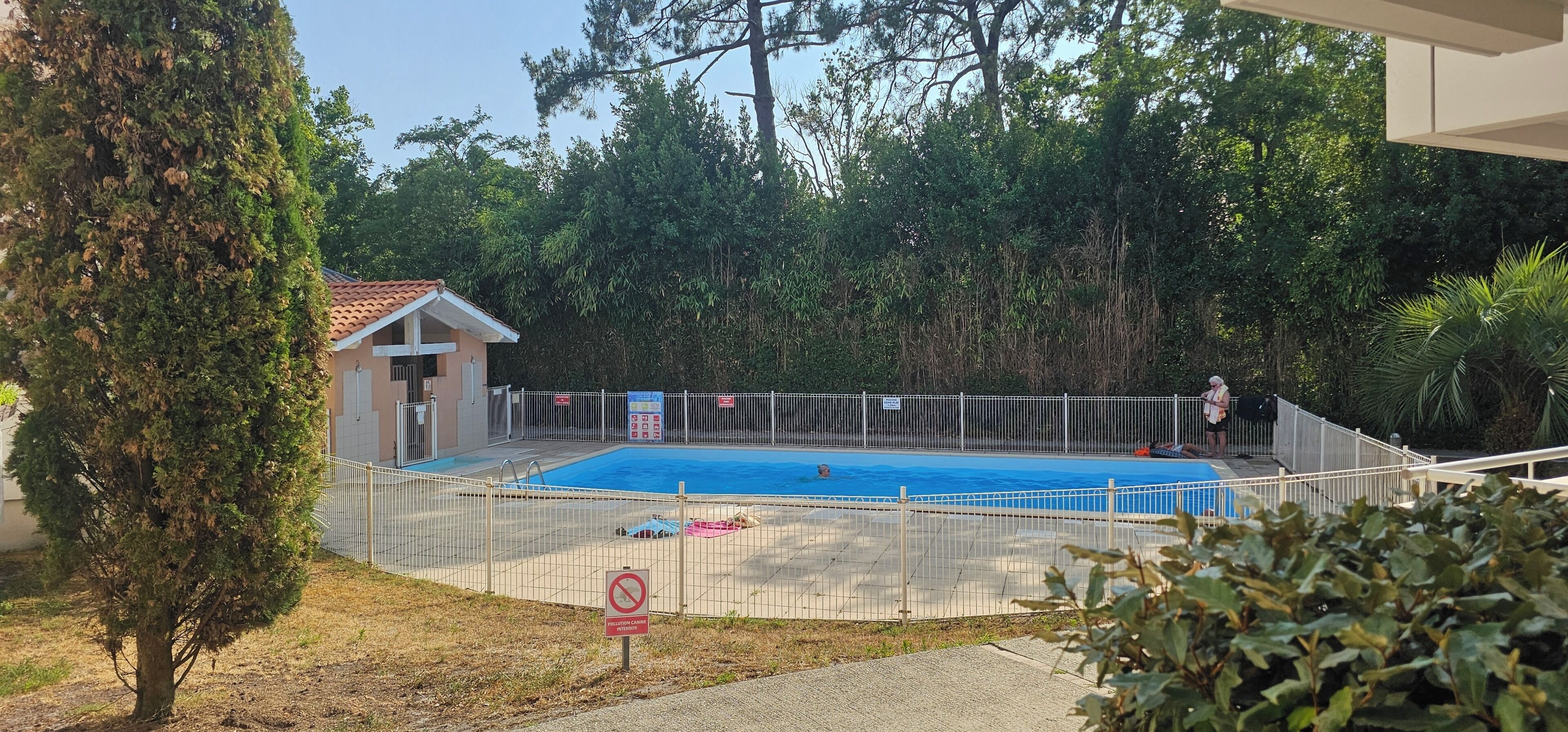 A swimming pool surrounded by a fence, a small building, and dense foliage.