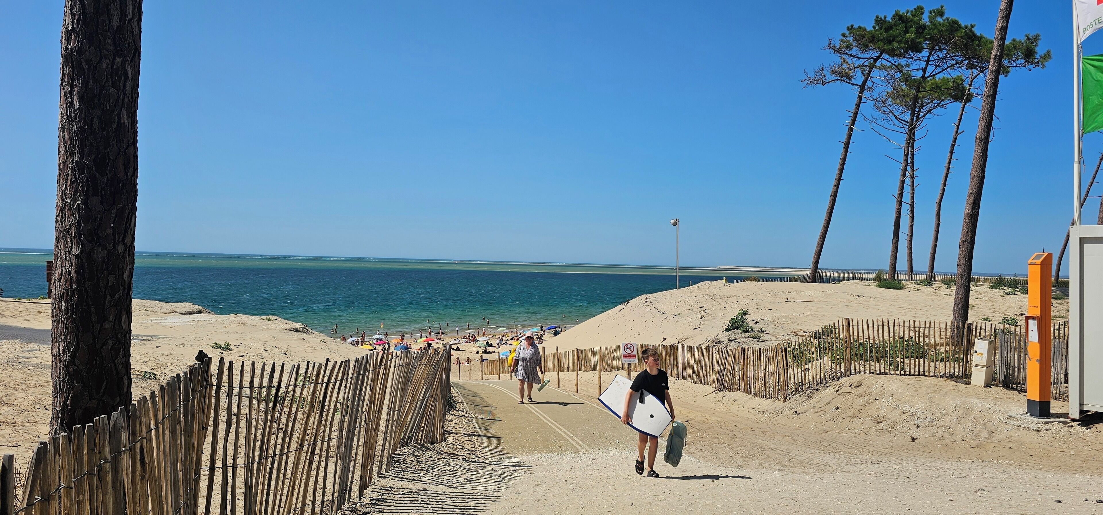 Une plage de sable bordée d’une clôture en bois, un ciel bleu dégagé et une personne qui porte une planche de surf.