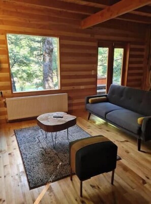 Living area - Palguin Cabin (Curarrehue)