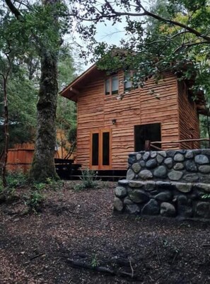 Exterior - Palguin Cabin (Curarrehue)