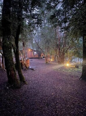 Property grounds - Maichin Cabin (Curarrehue)