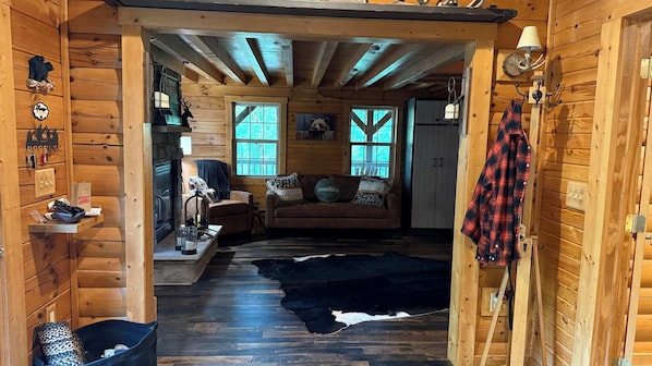 TV, fireplace, video games, offices