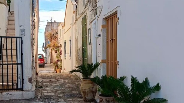Una estrecha calle adoquinada bordeada por edificios blancos con contraventanas verdes y plantas en macetas.
