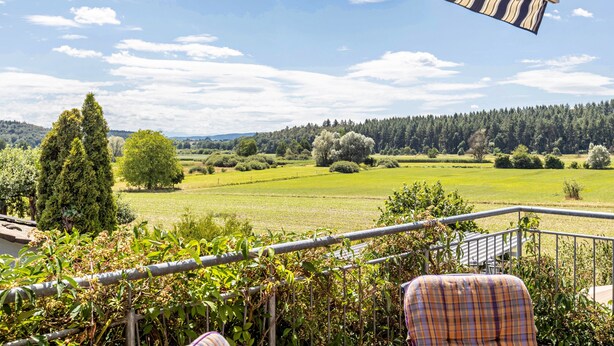 Ein Balkon mit Blick auf ein grünes Feld und Bäume, einem Metallgeländer und einem gestreiften Sonnensegel.